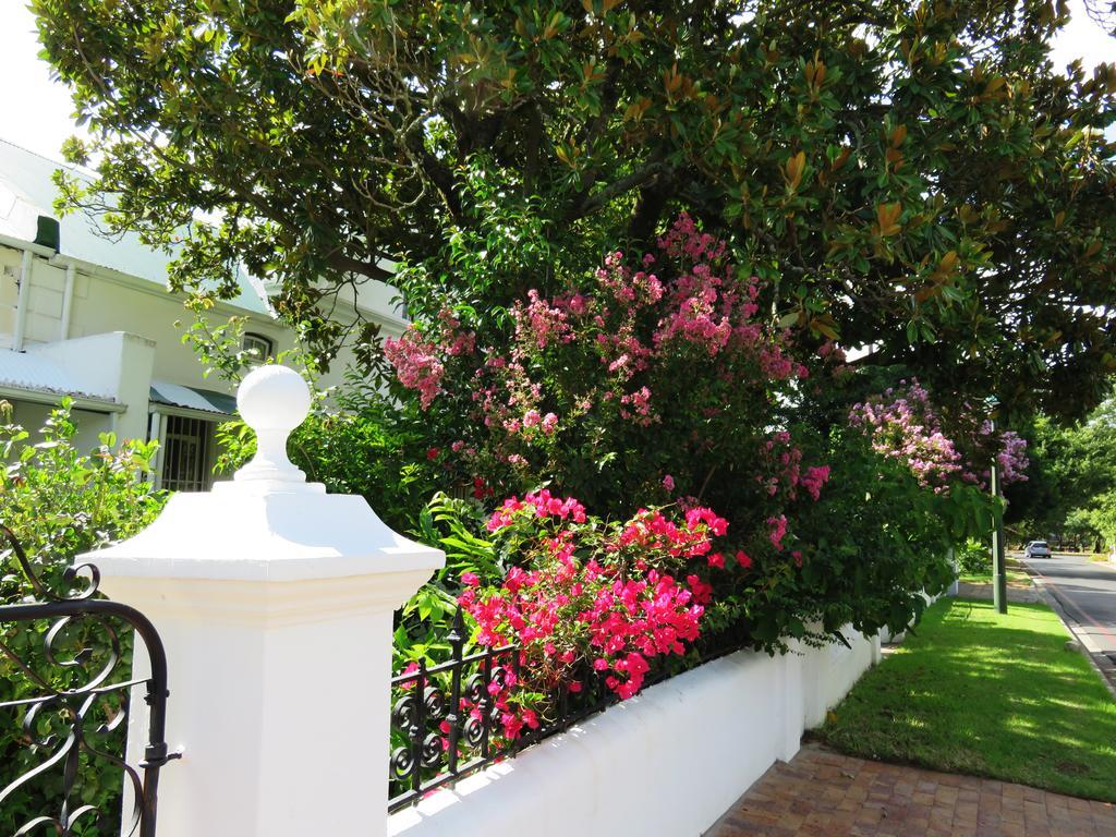 Fynbos Villa Guest House Stellenbosch Ngoại thất bức ảnh