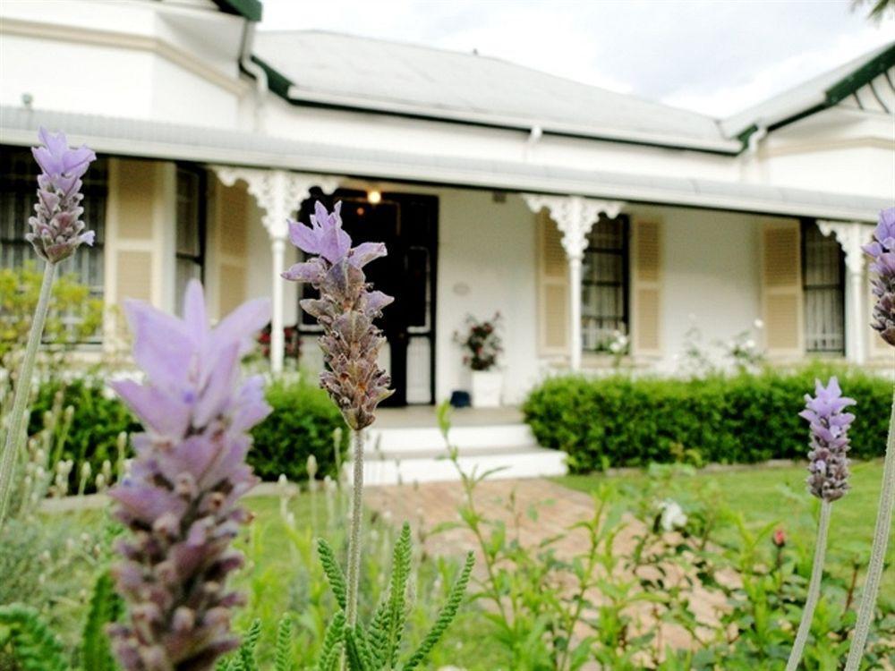 Fynbos Villa Guest House Stellenbosch Ngoại thất bức ảnh